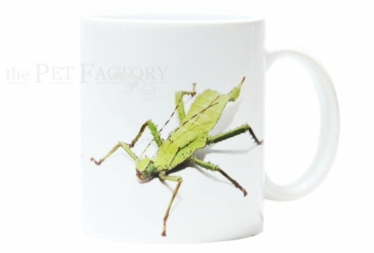 Kaffeebecher "Heteropteryx dilatata"